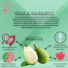 Load image into Gallery viewer, Soursop Bitters (Mixed Berries Flavor)
